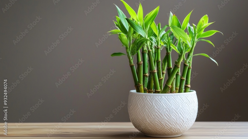 Composition with bamboo in glass bowl on wooden table Composition with bamboo in glass bowl on wooden table