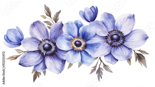 Bouquet featuring blue anemone flowers Hepatica nobilis Watercolor hand painted illustration on a white background