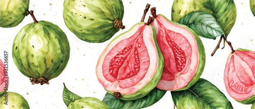 Guava fruit pattern background isolated on white1