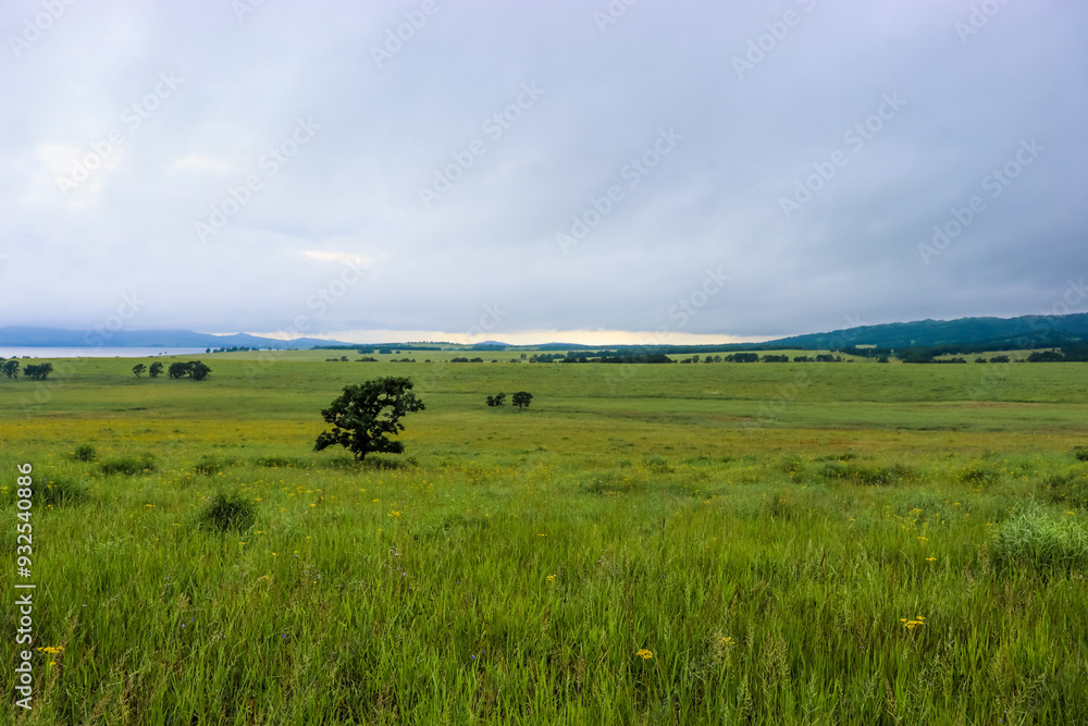 Green meadow. Beautiful summer landscape. Meadow. Green meadow. Beautiful summer landscape. Meadow.