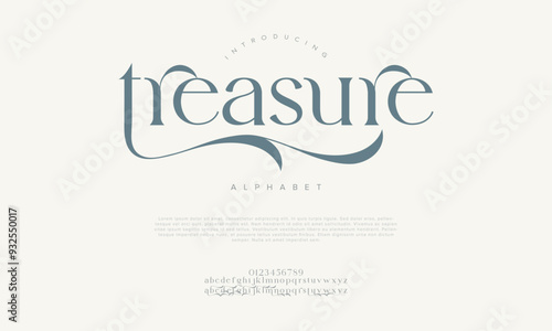 Treasure swash luxury elegant alphabet letters and numbers. Vintage wedding typography classic serif font decorative vintage retro. creative vector illustration