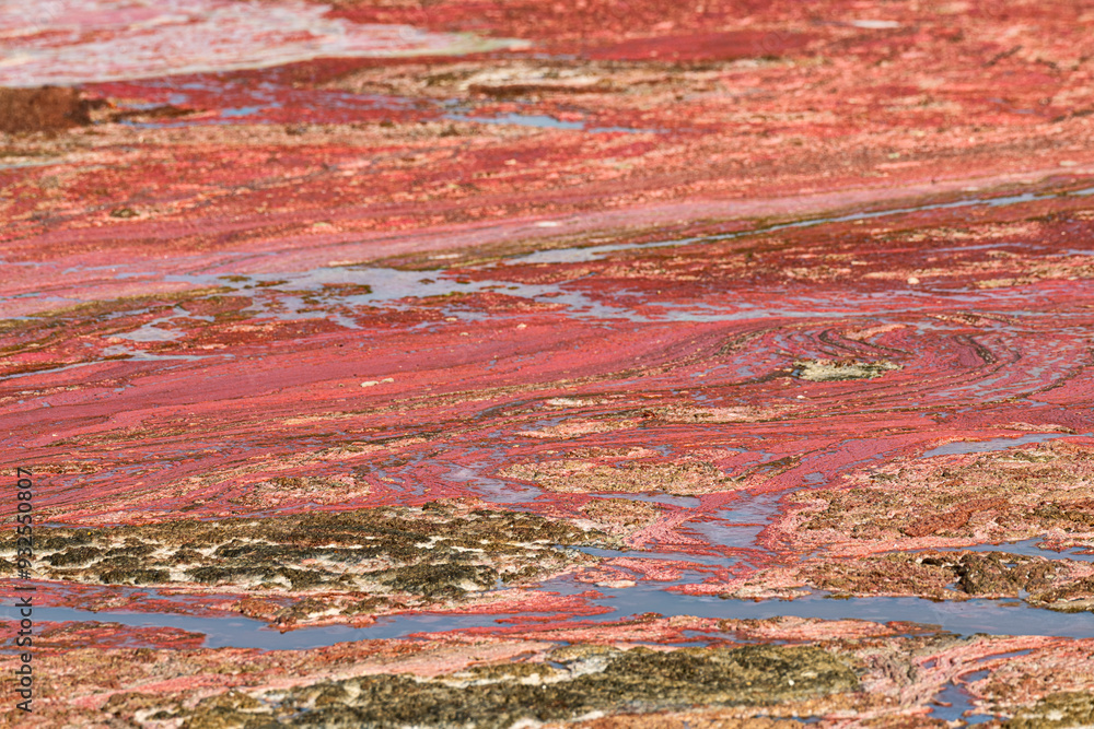 Salt flats in Pampatar, Margarita Island. Venezuela