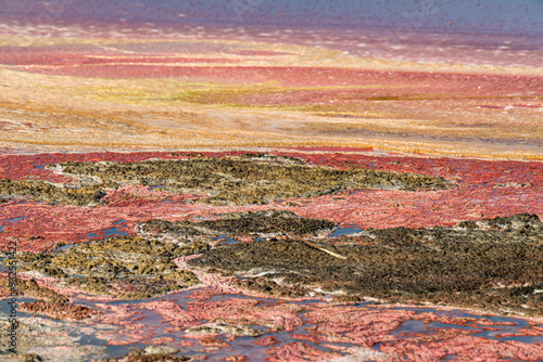 Obraz na płótnie Salt flats in Pampatar, Margarita Island. Venezuela w salonie