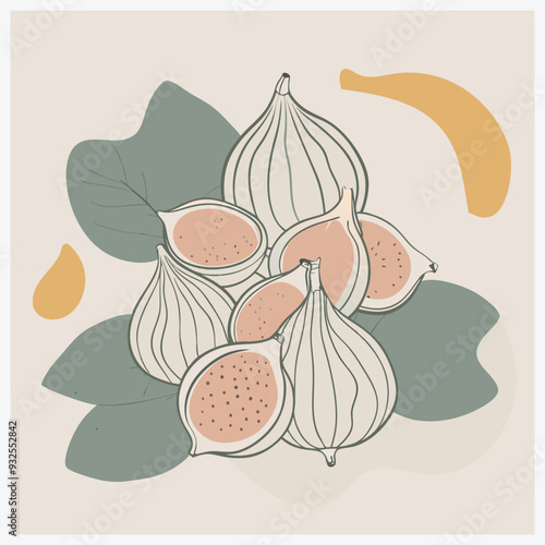 Lush Cluster Fig Fruit Vector Illustration, Vibrant and Detailed Design