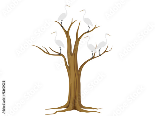 Ardea alba on a white background.