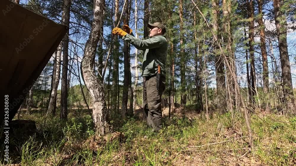 man in the forest cutting branches from a tree man in the forest cutting branches from a tree