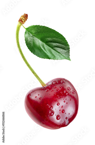 red cherry  with water drops and leaf  isolated white background. Reference for design.