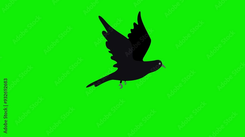 Crow flying bird animation on green screen background Crow flying bird animation on green screen background