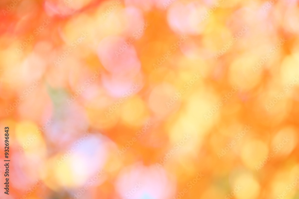 かえでの紅葉のぼかし アウトフォーカス かえでの紅葉のぼかし アウトフォーカス