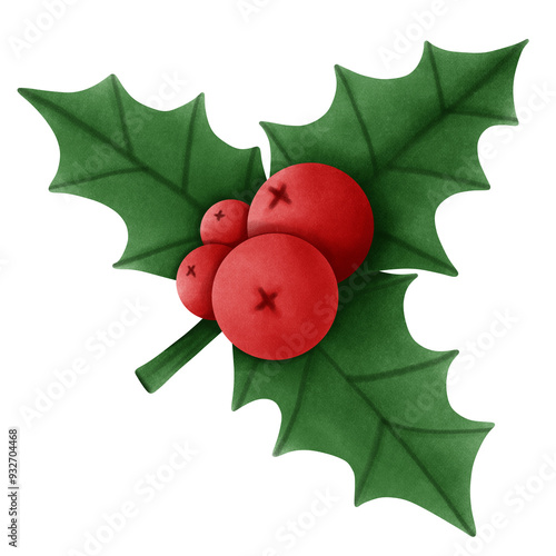 christmas holly with berries