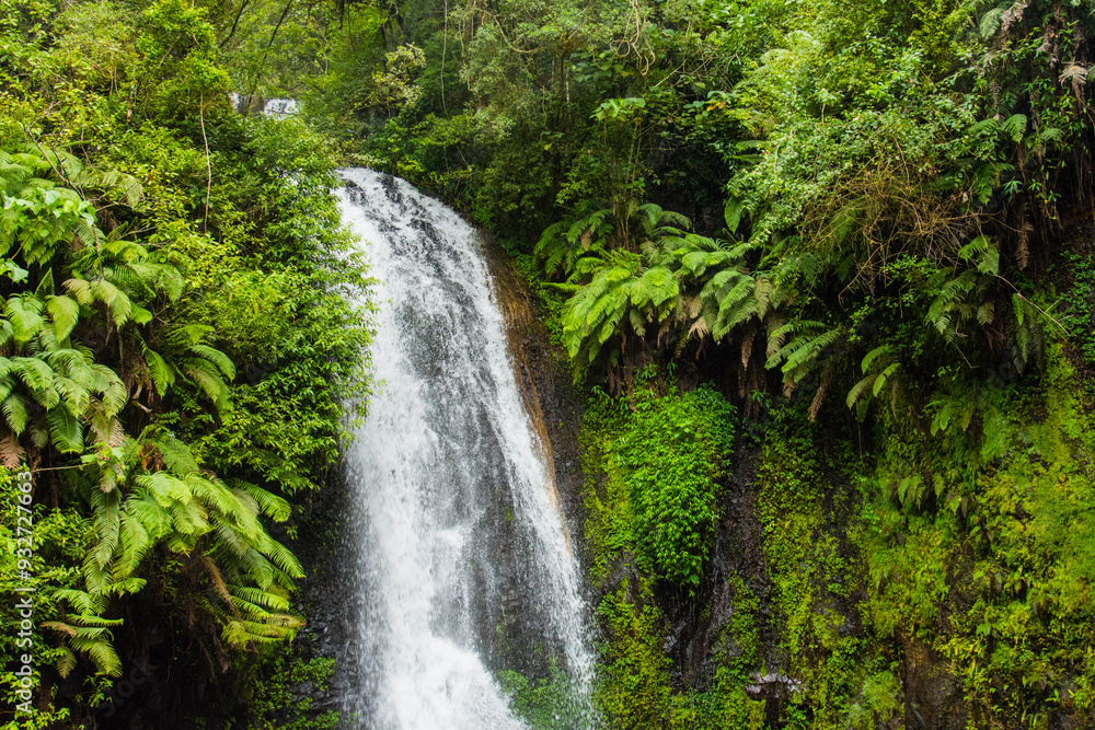 Madagascar, Antsiranana. Amber Mountain National Park waterfall. Madagascar, Antsiranana. Amber Mountain National Park waterfall.