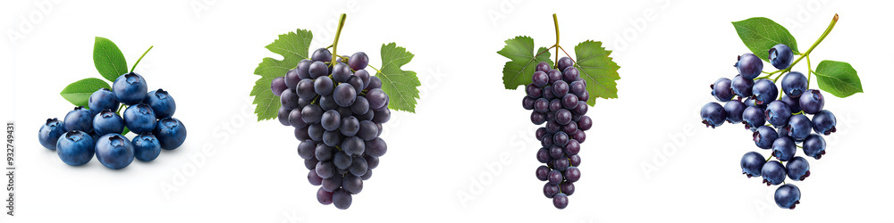 Fresh grapes collection with green leaves, showcasing different varieties of grapes for food and drink concepts Fresh grapes collection with green leaves, showcasing different varieties of grapes for food and drink concepts