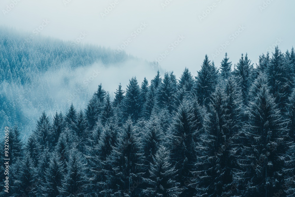 Obraz premium ilustration of fog in the forest