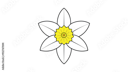 Daffodil flower silhouette  vector illustration on white background
