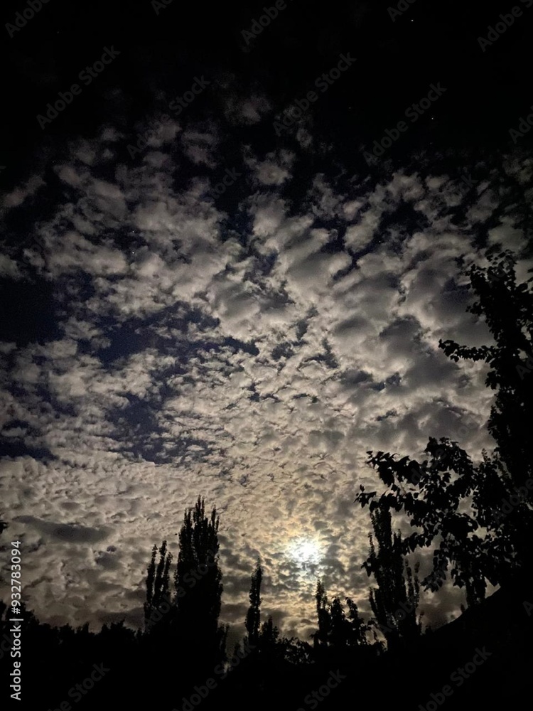 Naklejka premium Moonlit Clouds on a Dark Night