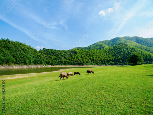 Scenery of Xiaohang Pit in Huzhou, Zhejiang Province photo