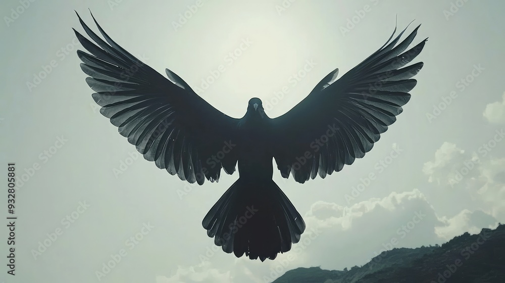 Fototapeta premium Silhouette of bird with spread wings against bright sky