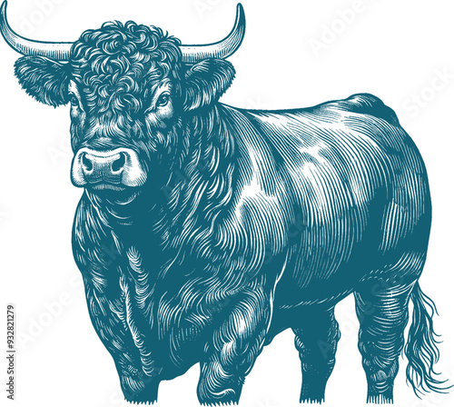 cow vector