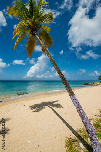 Sprat Hall Beach, St. Croix, US Virgin Islands.