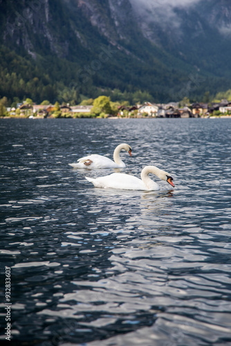 Europe, Austria, Hallstatt, Town of Hallstatt as seen from Lake Hallstatt which is part of the Salzkammergut Cultural Landscape, UNESCO World Heritage Site
