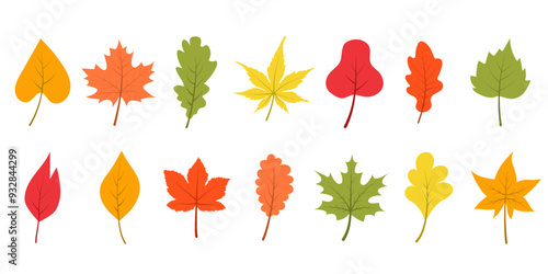 Colorful autumn leaves set. Vector cartoon illustration.
