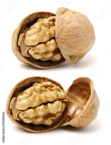 walnuts on a white background