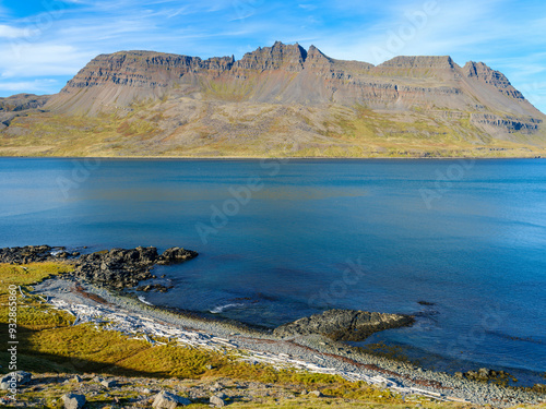Driftwood from Siberia. Landscape along the Strandvegur at Veidileysufjordur. The Strandir in the Westfjords (Vestfirdir) in Iceland during autumn.