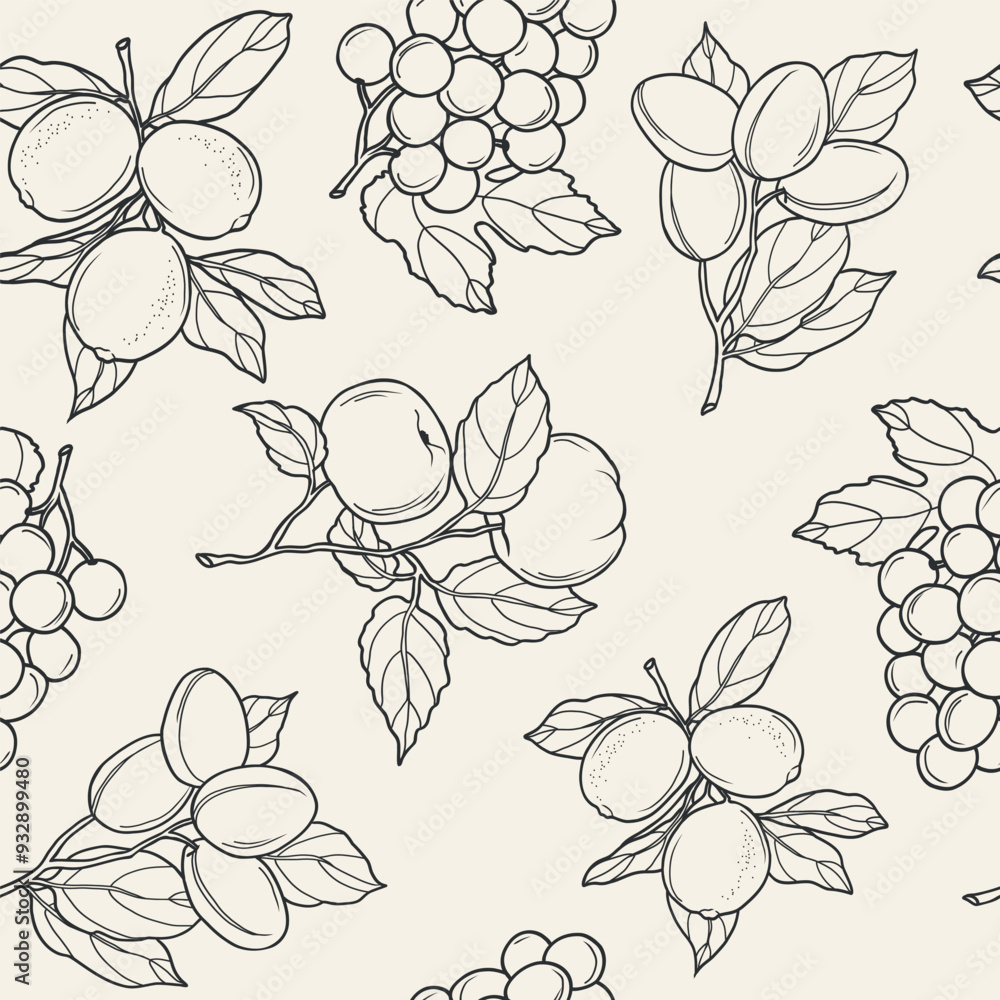 Line art lemon, grapes, plum, apple fruits background Line art lemon, grapes, plum, apple fruits background