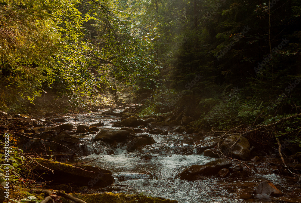 The rapid flow of a mountain river. Carpathian mountains, dense forest and clean mountain air. Wilderness for tourists. The rapid flow of a mountain river. Carpathian mountains, dense forest and clean mountain air. Wilderness for tourists.