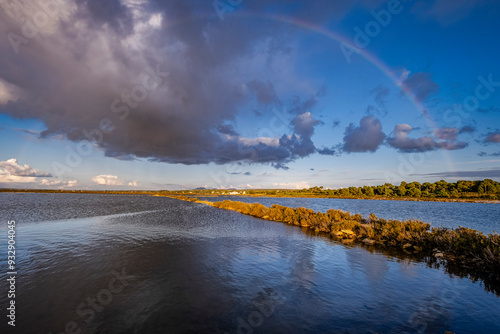 Salobrar de Campos, Es Trenc-Salobrar de Campos Maritime-Terrestrial Natural Park, Mallorca, Balearic Islands, Spain photo