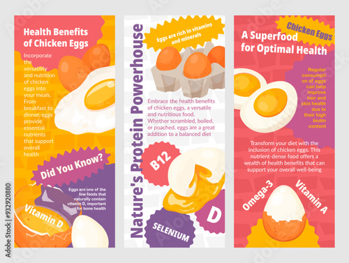 A colorful pamphlet presents the nutritional advantages of chicken eggs, emphasizing vitamins and minerals essential for a healthy lifestyle.