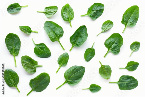 Top view of isolated green spinach leaves on white background