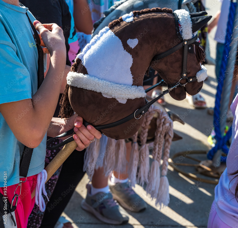 A horse's head on a hobby horsing stick in a child's hand A horse's head on a hobby horsing stick in a child's hand