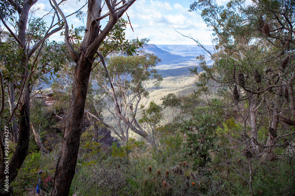 Korowal/Mt Solitary traverse in Blue Mountains National Park Korowal/Mt Solitary traverse in Blue Mountains National Park