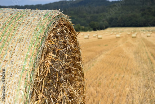 Ernte auf einem Feld