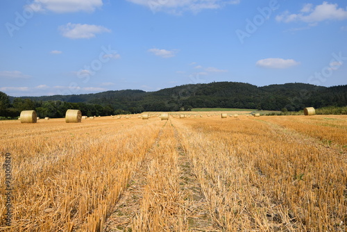 Ernte auf einem Feld