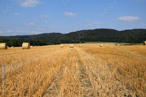 Ernte auf einem Feld