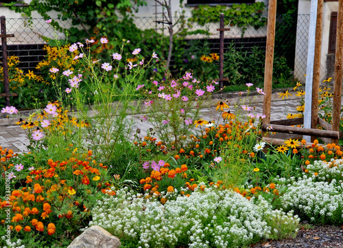 overgrown serves as a replacement for flower beds in the lawn that bloom in spring and then normally mows and keeps it like a meadow