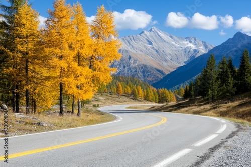 Beautiful autumn landscape with a forest and road in the mountains