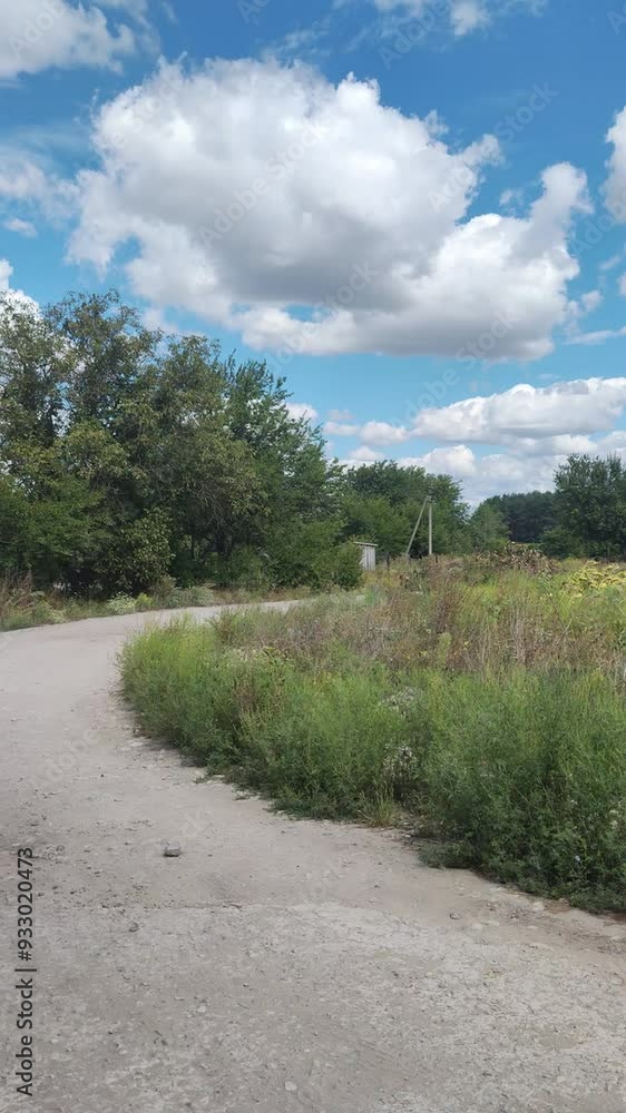the road goes into the distance. Road going into the distance surrounded by trees in a park in summer. Pov from the car the road goes into the distance. Road going into the distance surrounded by trees in a park in summer. Pov from the car