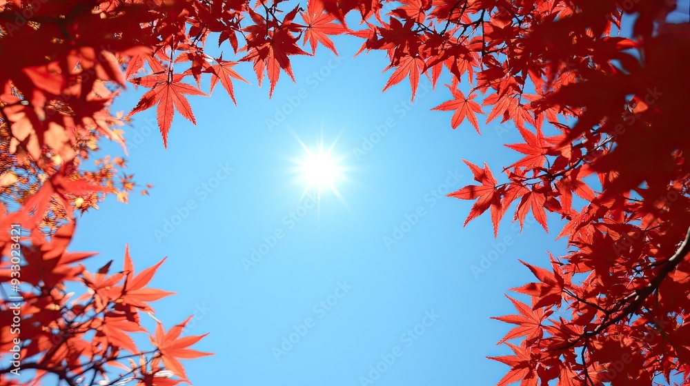 Red maple leaves frame a bright sun. Perfect for autumnal, nature, and seasonal themes. Red maple leaves frame a bright sun. Perfect for autumnal, nature, and seasonal themes.