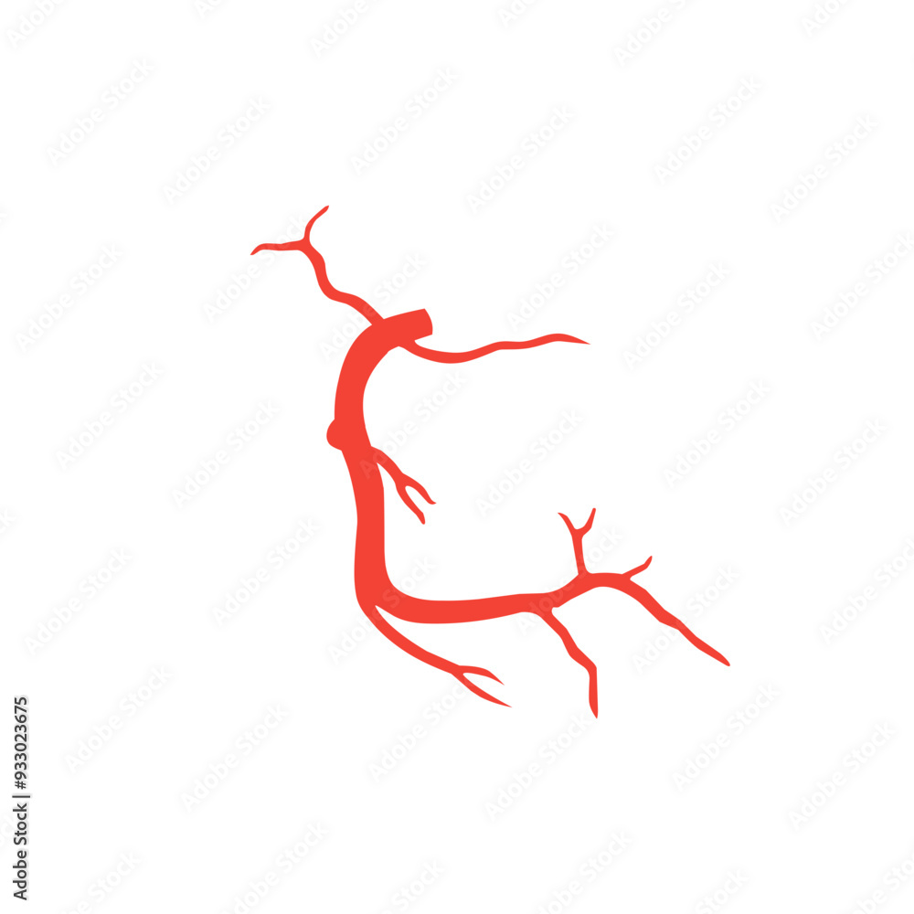 Fototapeta premium illustration of right coronary artery 