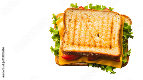 Delicious cheese sandwich top view isolated on white background