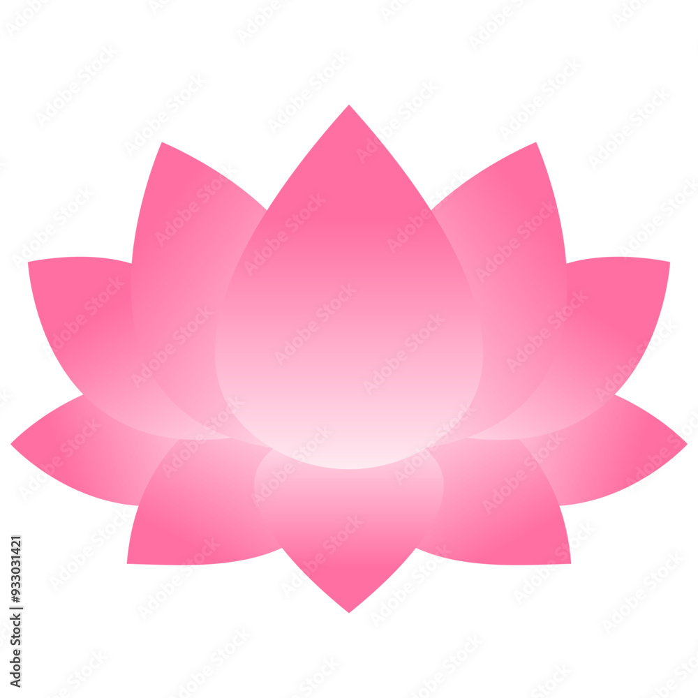 Lotus flower illustration Lotus flower illustration