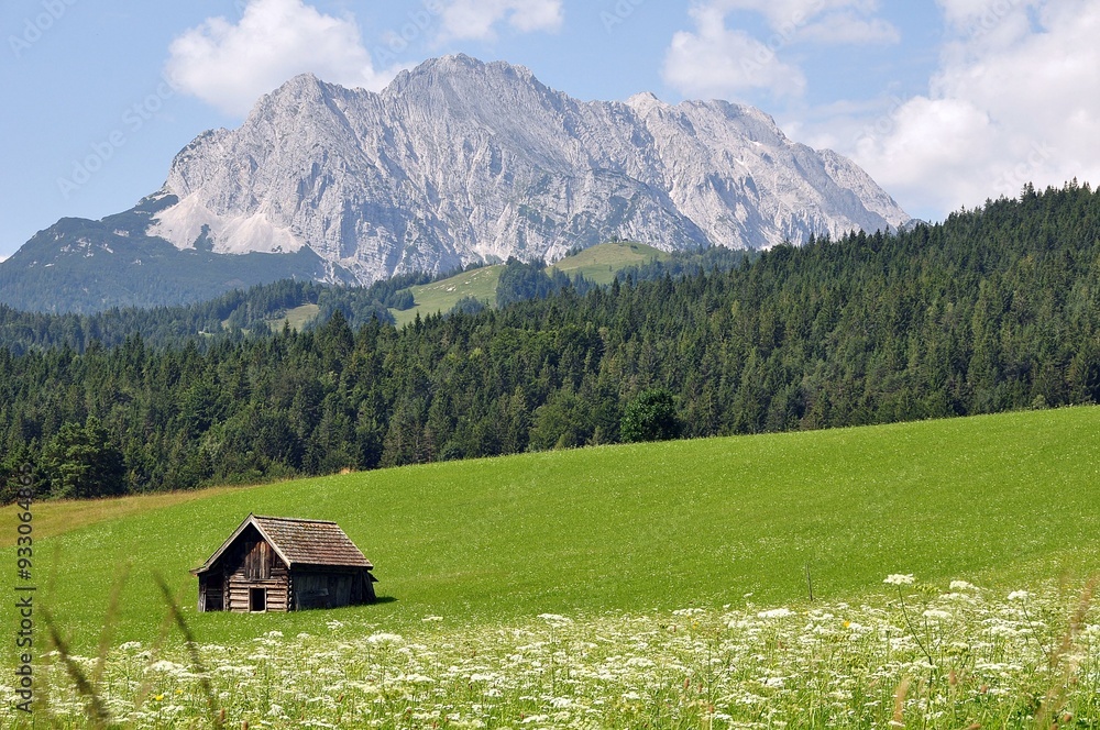 Obraz premium Buckelwiesen bei Mittenwald