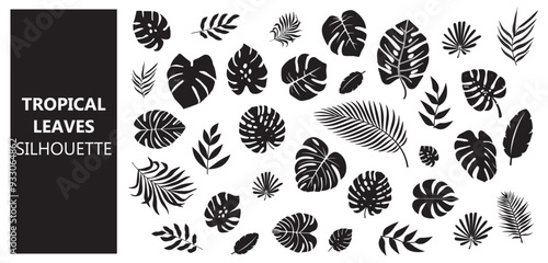 Tropical leaves silhouette