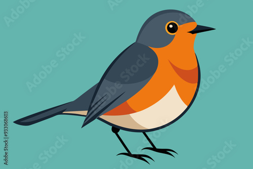 Robin  vector art and illustration photo