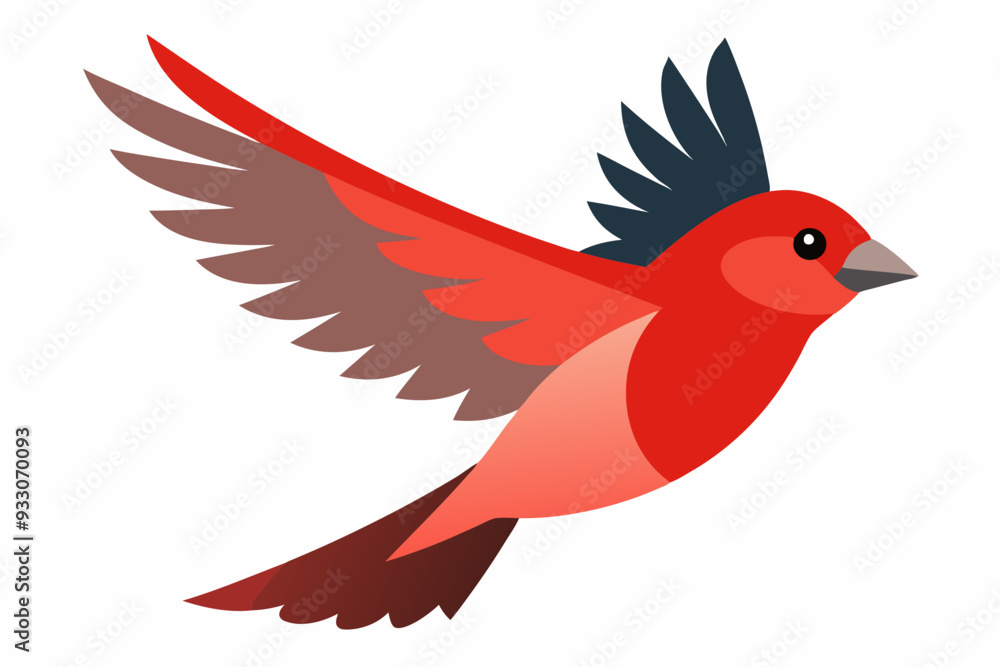 Fototapeta premium Finch Bird vector art and illustration