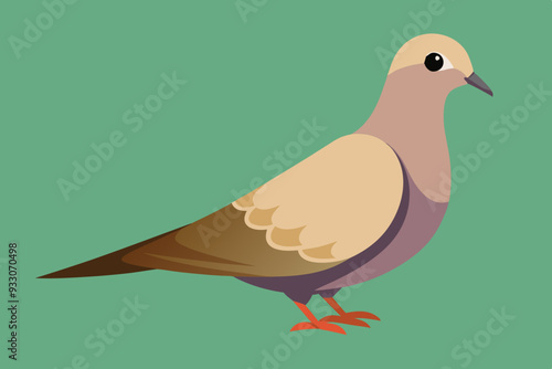 Dove vector art and illustration photo