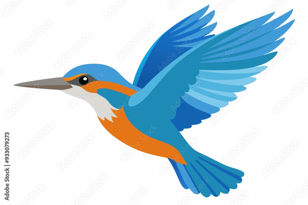 kingfisher vector art and illustration kingfisher vector art and illustration